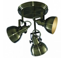 Спот Arte Lamp Martin A5213PL-3AB