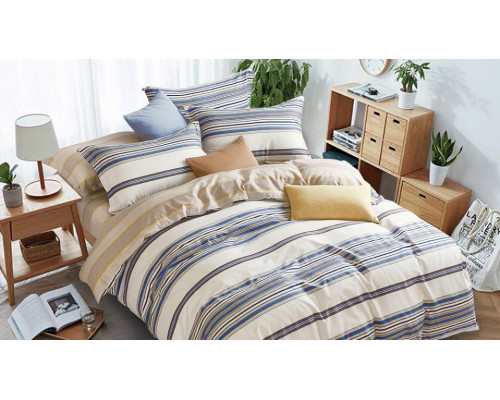 Постельное белье евростандарт C-239