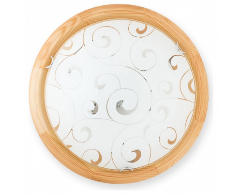 Накладной светильник TopLight Kelly TL9043Y-02PN