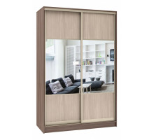 Шкаф-купе Стандарт Комбо 2.1