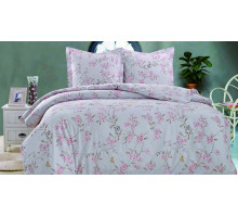 Постельное белье евростандарт CL-230