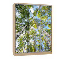 Шкаф-купе Бассо 7-600 57