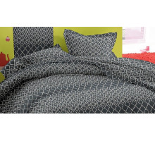 Постельное белье евростандарт Ronan