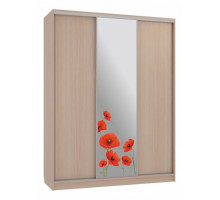 Шкаф-купе Бассо 1-600 маки