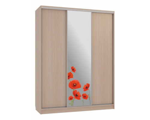 Шкаф-купе Бассо 1-600 маки