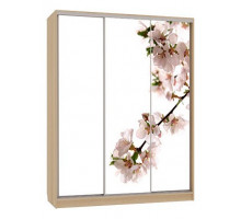 Шкаф-купе 7-600 яблоня