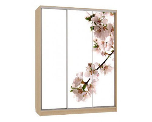 Шкаф-купе 7-600 яблоня