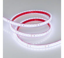 Лента светодиодная Arlight  016835(1)