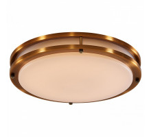 Накладной светильник Citilux Бостон 