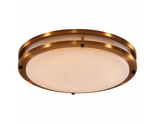 Накладной светильник Citilux Бостон