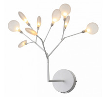 Бра ST-Luce Riccardo 