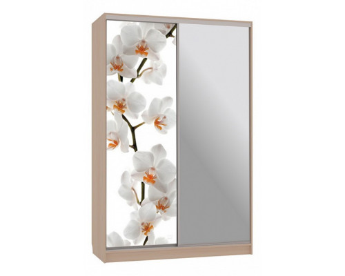 Шкаф-купе Гранд 9-600 83