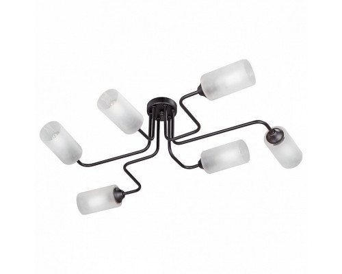 Потолочная люстра Vitaluce 4310 V4310-1/6PL