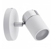 Спот Paulmann Zyli 66710