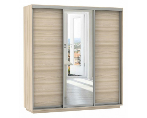 Шкаф-купе Экспресс Медиум (1 зеркало) Трио 1800x600x2400