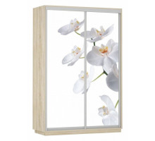 Шкаф-купе Экспресс Фото Дуо Орхидея 1400x600x2200