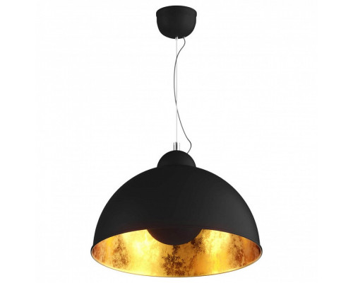 Подвесной светильник Zumaline Antenne TS-071003PM-BKGO