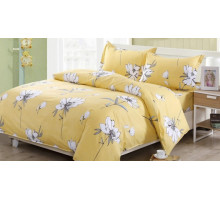 Постельное белье евростандарт AP-18