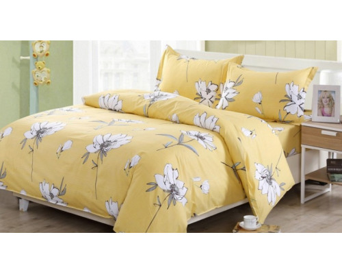 Постельное белье евростандарт AP-18