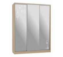 Шкаф-купе Бассо 4-600 птицы