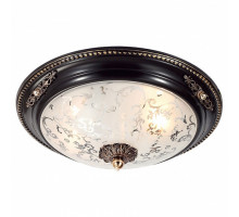 Накладной светильник Lucia Tucci Lugo LUGO 142.2 R30 brown