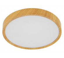 Накладной светильник Eglo ПРОМО Musurita 98601