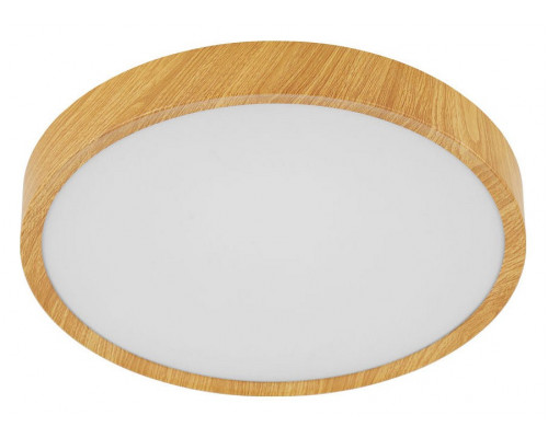 Накладной светильник Eglo ПРОМО Musurita 98601