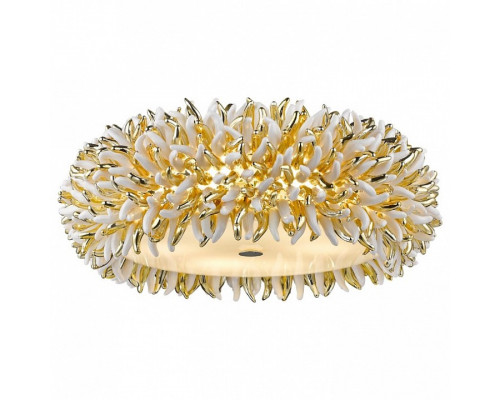 Накладной светильник Divinare Barbara 1336/03 PL-6