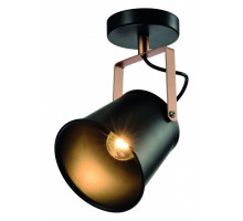 Спот Rivoli Acuto Б0044767