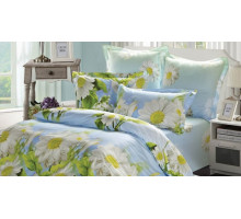 Постельное белье евростандарт B-147