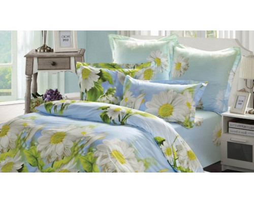 Постельное белье евростандарт B-147