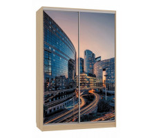 Шкаф-купе Рио 7-600 79