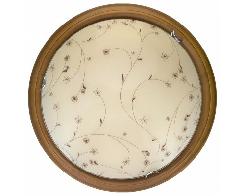 Накладной светильник TopLight Karissa TL9650Y-00OA