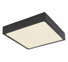 Накладной светильник Globo Echo 12369-22