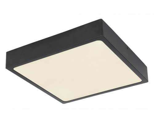 Накладной светильник Globo Echo 12369-22