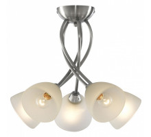 Потолочная люстра Arte Lamp Nikki A2576PL-5SS