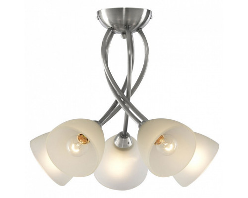 Потолочная люстра Arte Lamp Nikki A2576PL-5SS