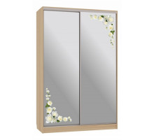 Шкаф-купе Рио 4-600 розы