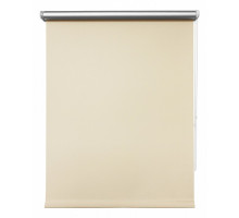 Штора рулонная (48x175 см) Сильвер