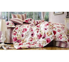 Постельное белье евростандарт C-135