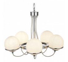 Подвесная люстра Arte Lamp Bergamo A2990LM-5CC