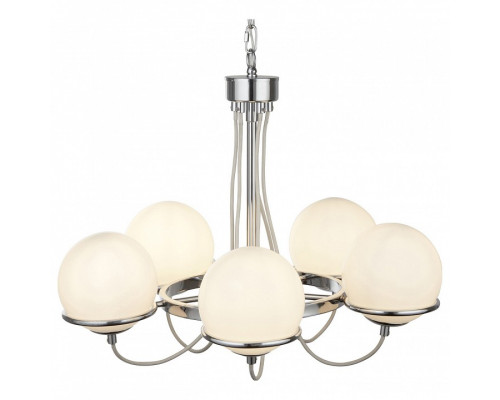 Подвесная люстра Arte Lamp Bergamo A2990LM-5CC