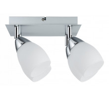 Спот Paulmann Wolba 60266