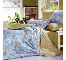 Постельное белье евростандарт B-144