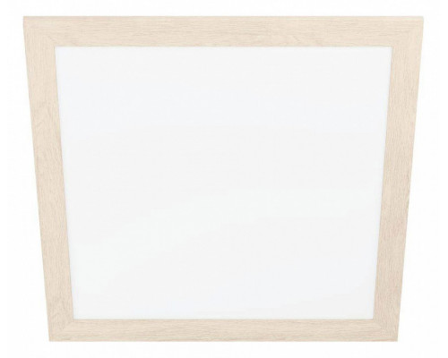 Накладной светильник Eglo ПРОМО Piglionasso 99472