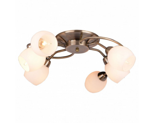 Потолочная люстра Arte Lamp Silvana A4033PL-6AB