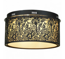 Накладной светильник Lussole Vetere 