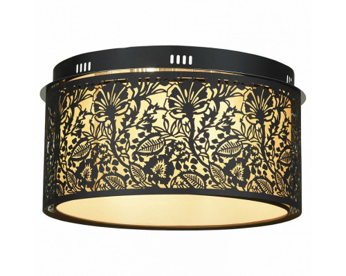 Накладной светильник Lussole Vetere