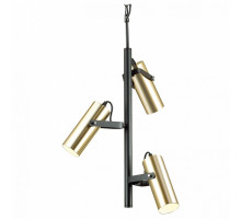 Подвесная люстра Lumion Claire 3714/3A