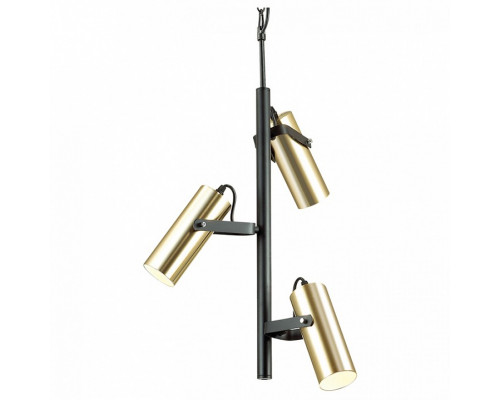 Подвесная люстра Lumion Claire 3714/3A